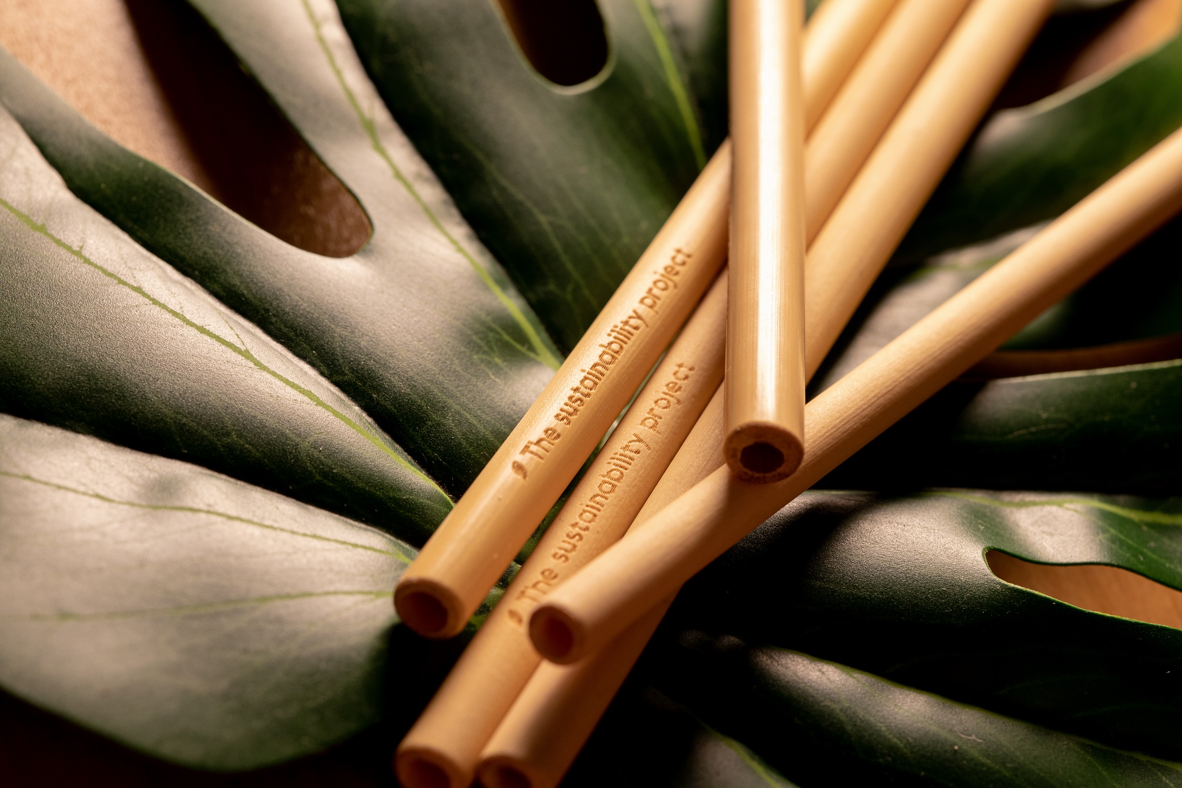 Bamboo Straws: When Sustainability Meets Innovation